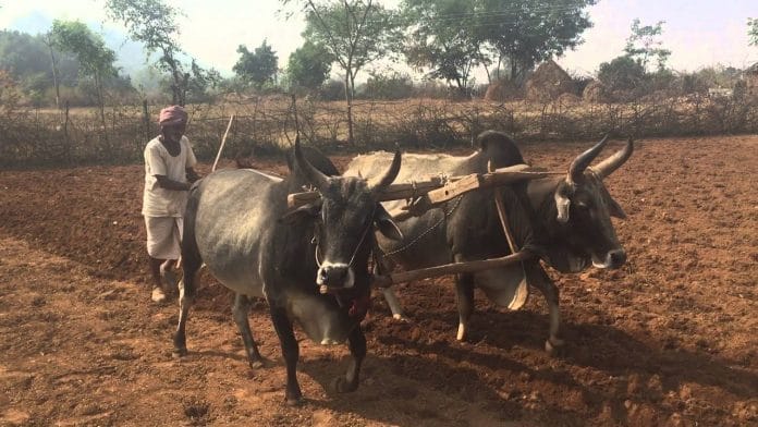 news on farmer's politics