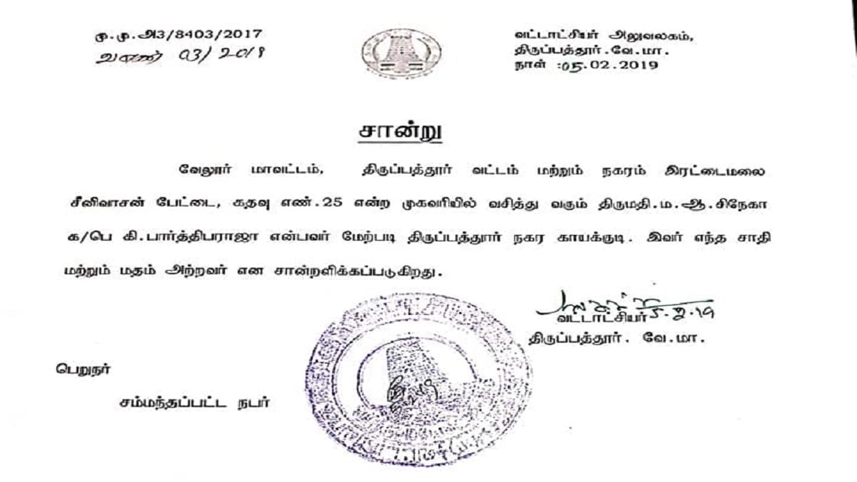 news on social culture