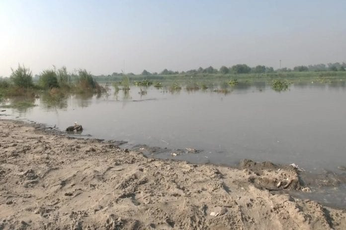 news on yamunas floods