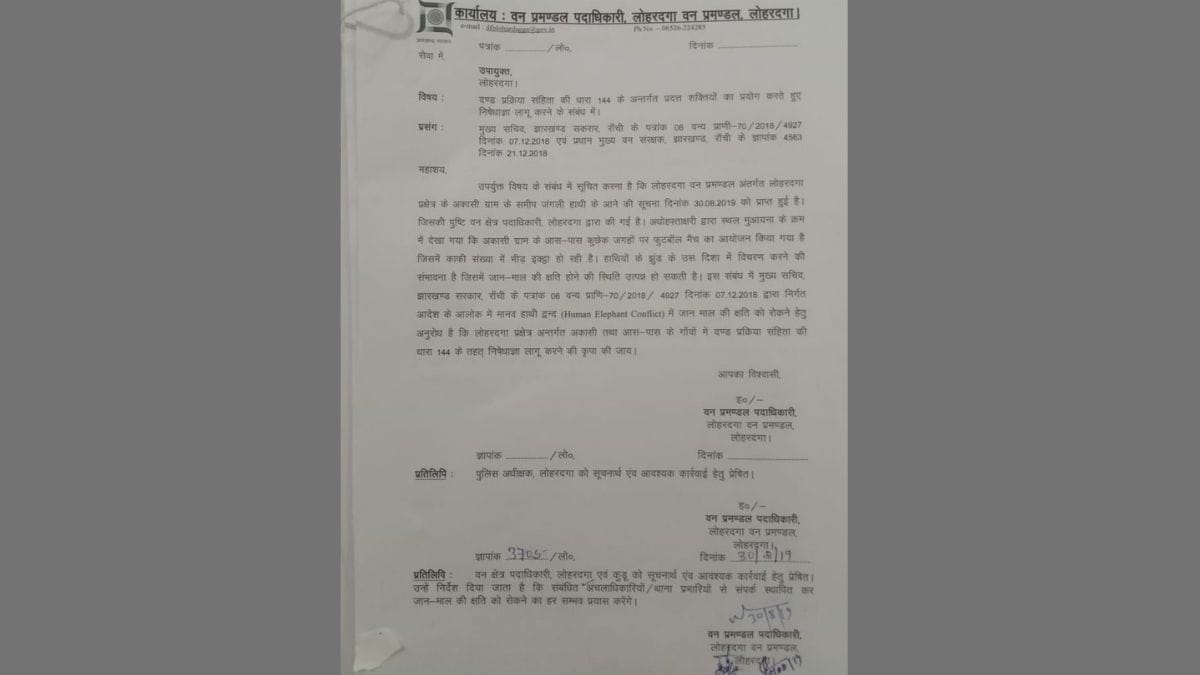 news on elephant-human conflict