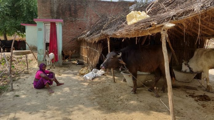 news on swachh bharat mission