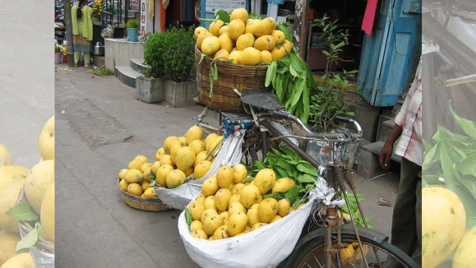 बंगनपल्ली आम | विकिमीडिया कॉमन्स