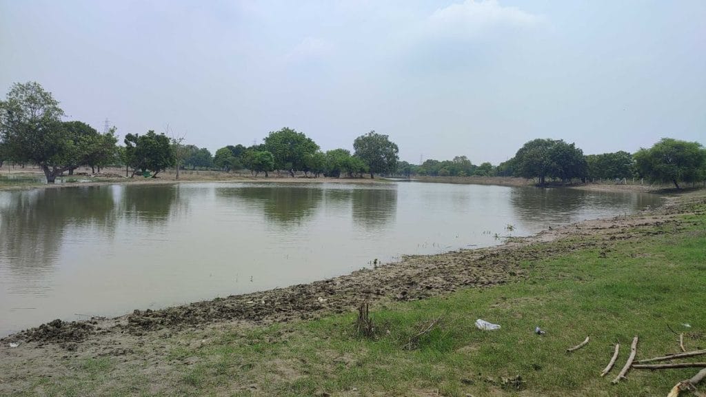 बेला गांव इलाके में बहती यमुना नदी | फोटो: फाल्गुनी शर्मा/दिप्रिंट