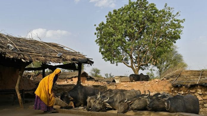 गांव की प्रतीकात्मक तस्वीर