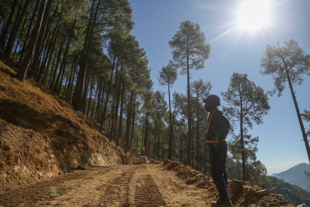 वर्टिकल ड्रिलिंग के लिए चीड़ के पेड़ों को काटकर रास्ता बनाया जा रहा था | फोटो: सूरज सिंह बिष्ट/दिप्रिंट