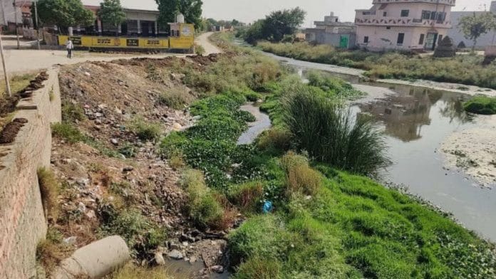 क्योड़-कैथल नाला. सीवेज ट्रीटमेंट प्लांट का पानी, नाले के अनुपचारित सीवेज के साथ मिलकर वापस कुंती घाट तालाब में चला जाता है, जहां भैंसें पानी पीती हैं और नहाती हैं | फोटो: बिस्मी तस्कीन/दिप्रिंट