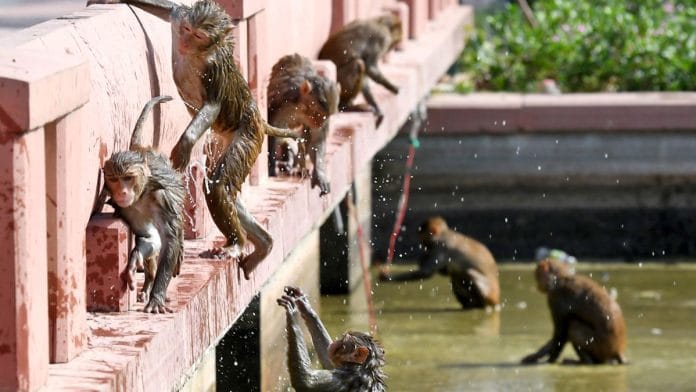 प्रतीकात्मक तस्वीर