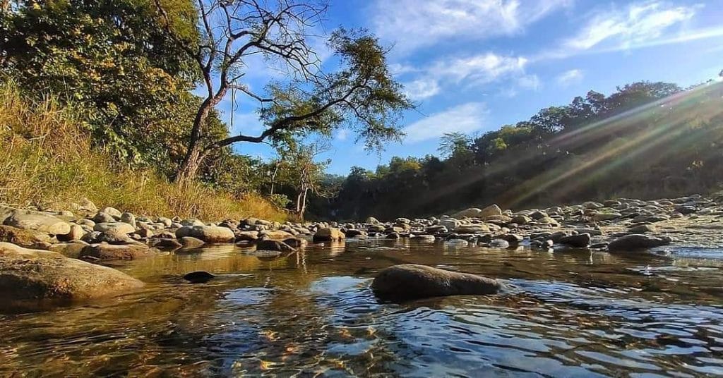पश्चिमी चंपारण स्थित वाल्मीकि टाइगर रिजर्व | फोटो: आशीष कौशिक/स्पेशल अरेंजमेंट